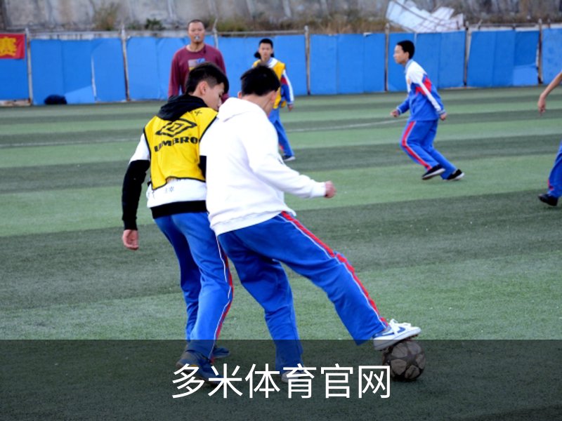 多米体育官网简介
